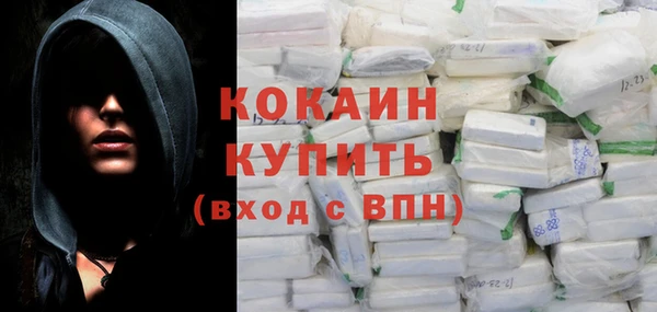 МДПВ Бородино