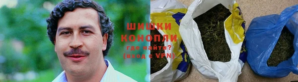 МДПВ Бородино