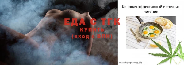 МДПВ Бородино