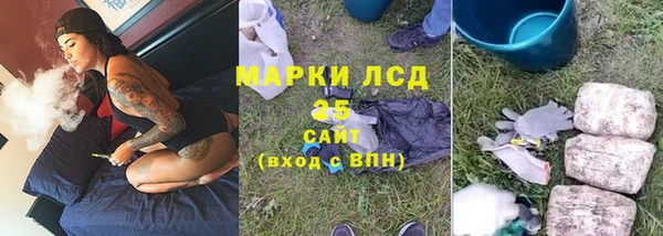МДПВ Бородино