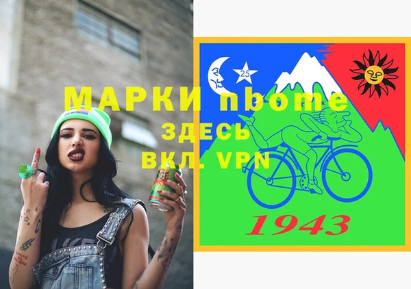 МДПВ Бородино