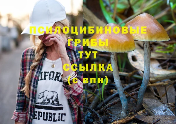МДПВ Бородино
