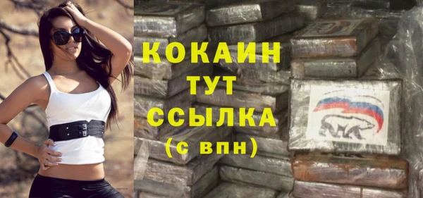 бошки Бронницы