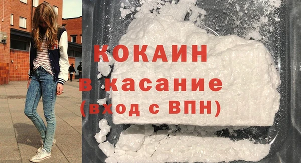 МДПВ Бородино