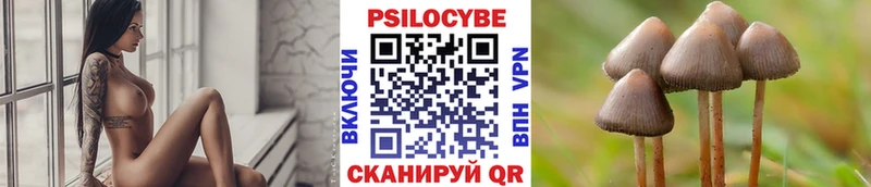 купить закладку  Красноармейск  Псилоцибиновые грибы Magic Shrooms 
