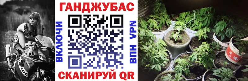 Конопля семена  купить закладку  Красноармейск 